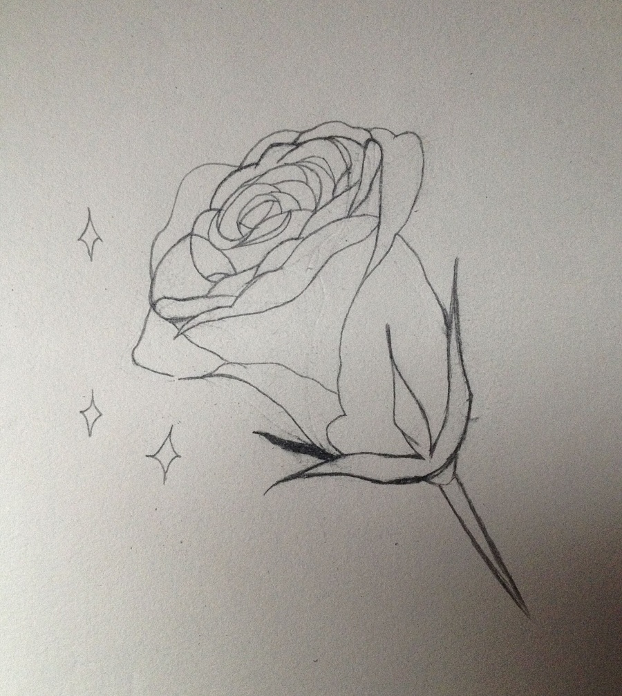 原创作品:春天来了素描一张蔷薇花
