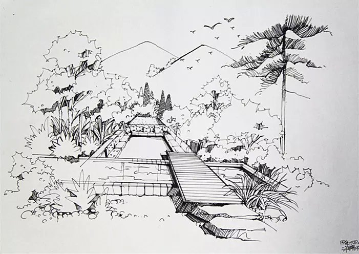 室内线稿和植物线稿