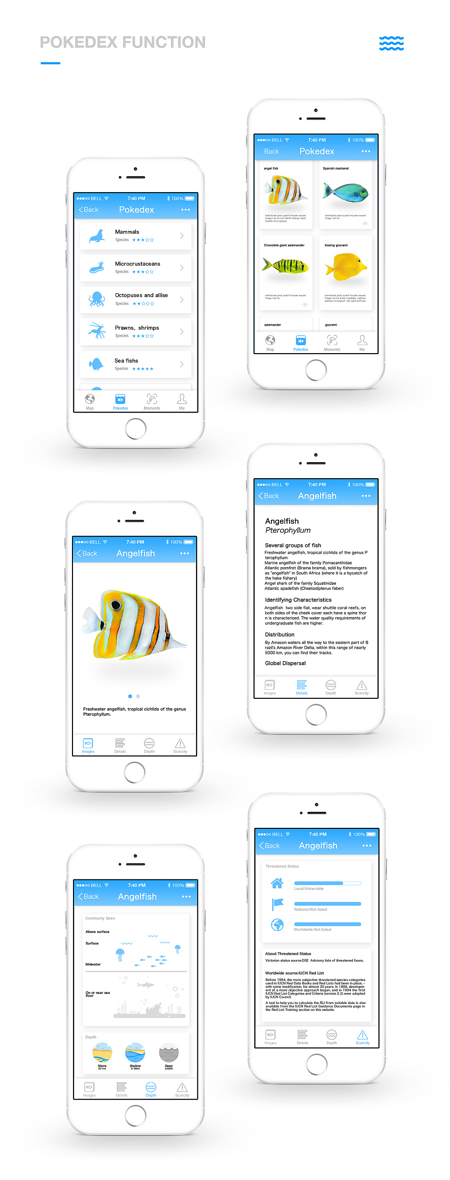 Pocket Sea\/海洋生物图鉴App |移动设备\/APP界