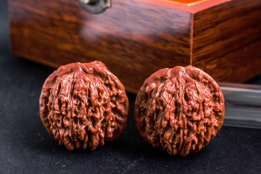 四座楼一对|静物|摄影|壁虎等待蚊子 - 原创设计