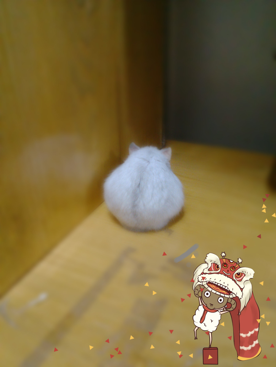 原创创意贴纸|图形\/图案|平面|T0ng彤 - 原创设计