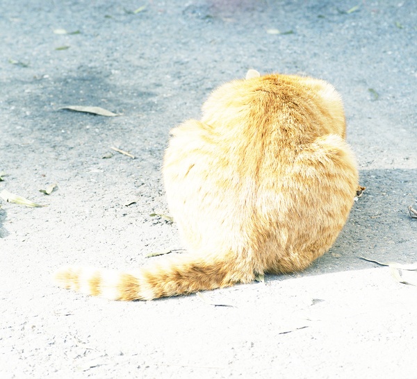 模仿川内伦子|风光|摄影|咔嚓ing - 原创设计作品 - 站酷 (ZCOOL)