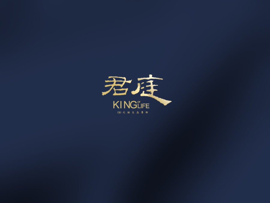 收拾自己丨再出发\/LOGO小结|标志|平面|纸飞机