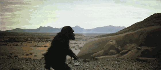 第七艺术之 | 蒙太奇的魅力