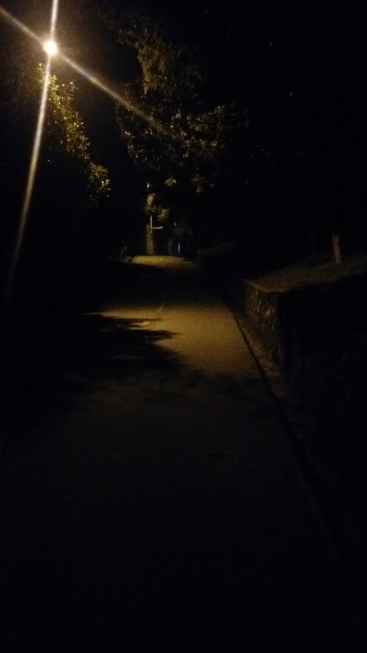 我的学校,夜景,路灯下的一角