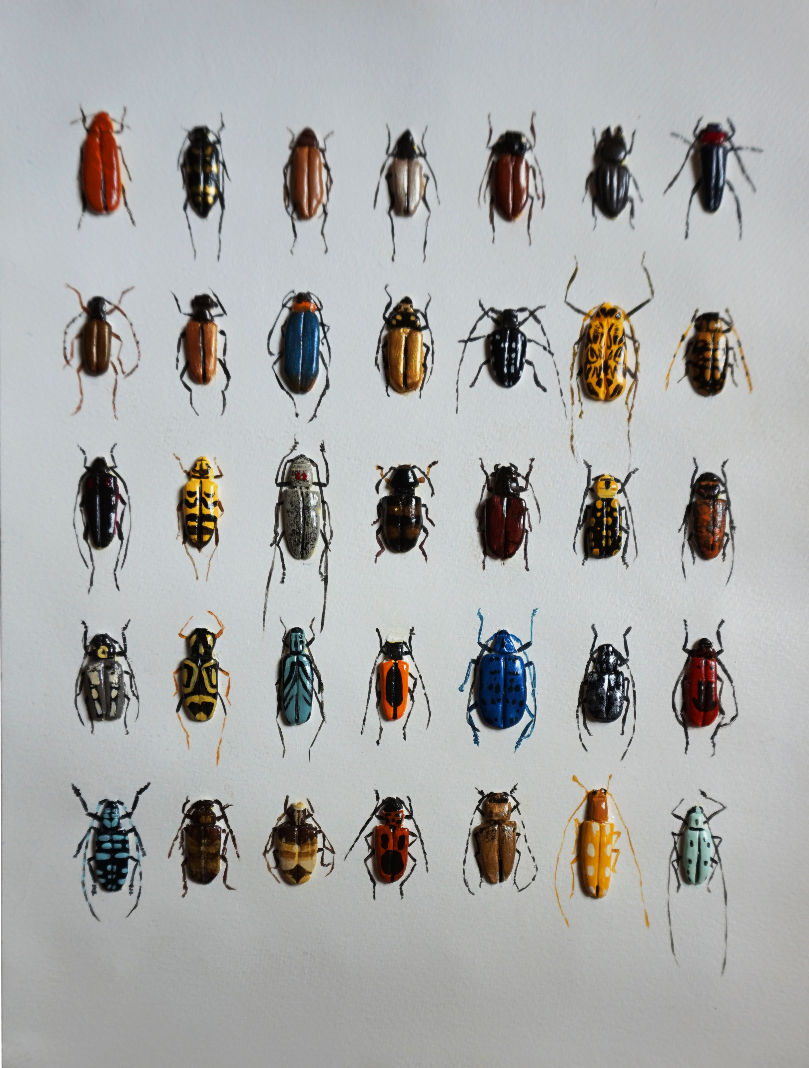 作品中昆虫种类很多,包括天牛,吉丁虫,锹甲,象甲,蜣螂等