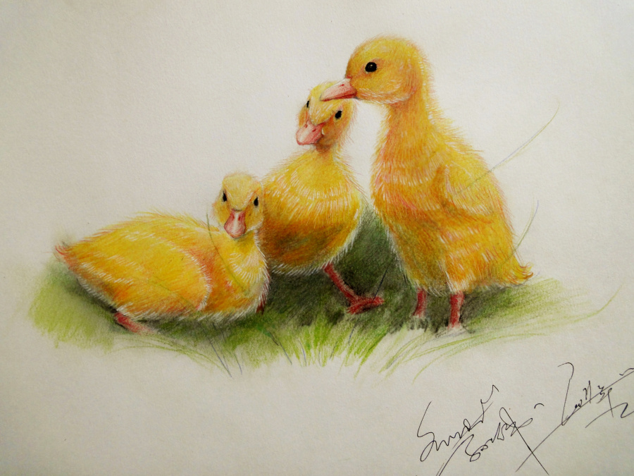 子小伟 彩铅 及素描绘画作品汇总 感谢大家一路