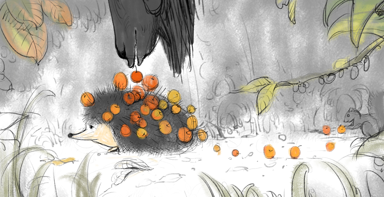 刺猬_草图|插画|创作习作|四月小有 - 原创作品