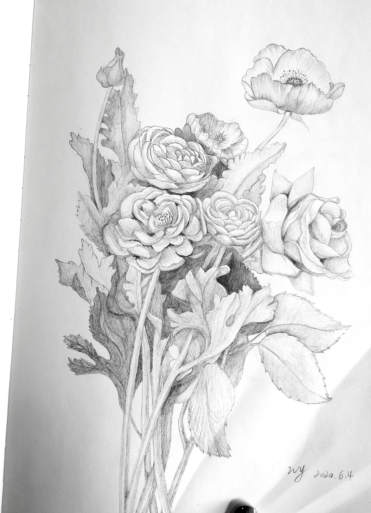手绘素描鲜花
