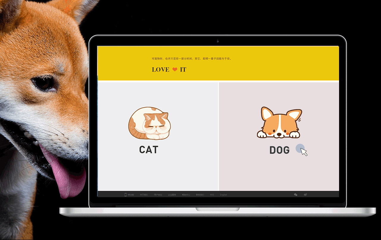 宠物商城|网页|企业官网|阿泽丶 - 原创作品 - 站酷 (zcool)