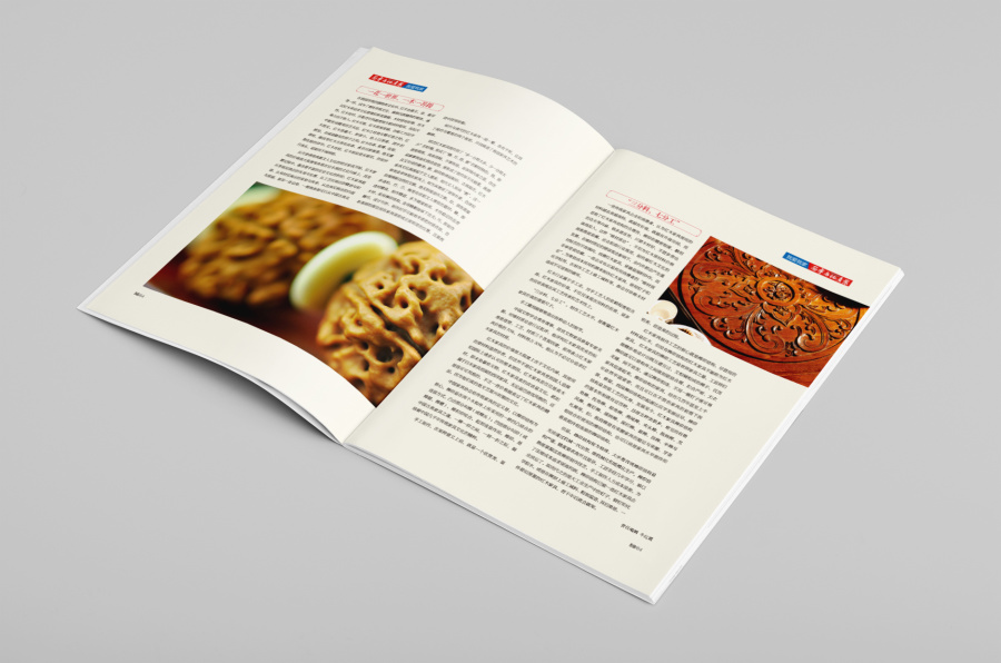 原创作品:《西宁市房地产业》期刊设计