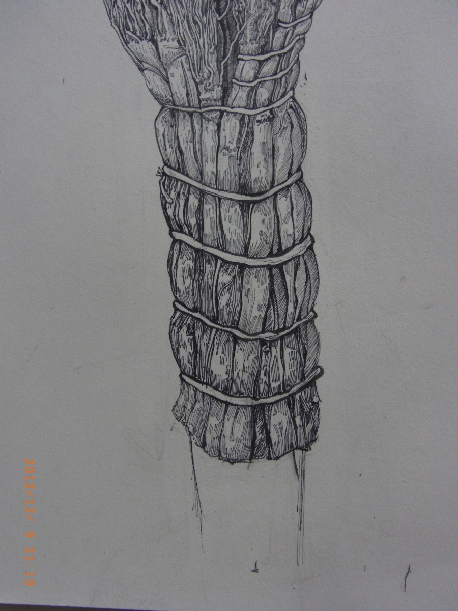 大学的作业(1)|绘画习作|插画|李飘飘 - 原创设计