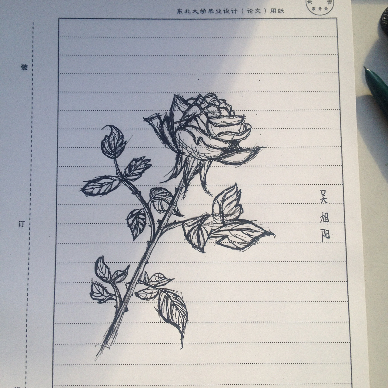 玫瑰|纯艺术|钢笔画|旭阳新成 - 原创作品 - 站酷