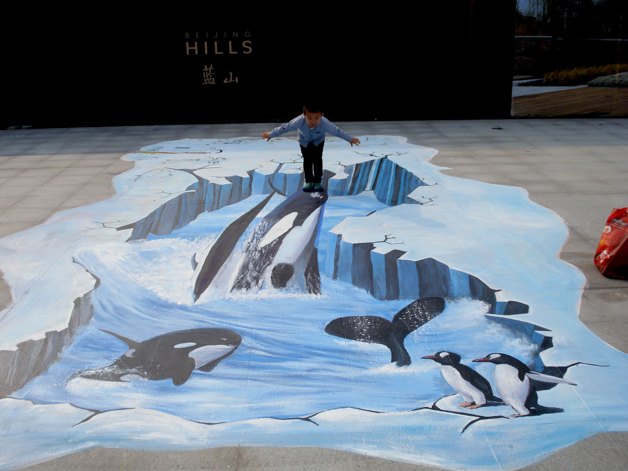 "大鲸鱼越冰川"地面立体画,金盛博创3d画
