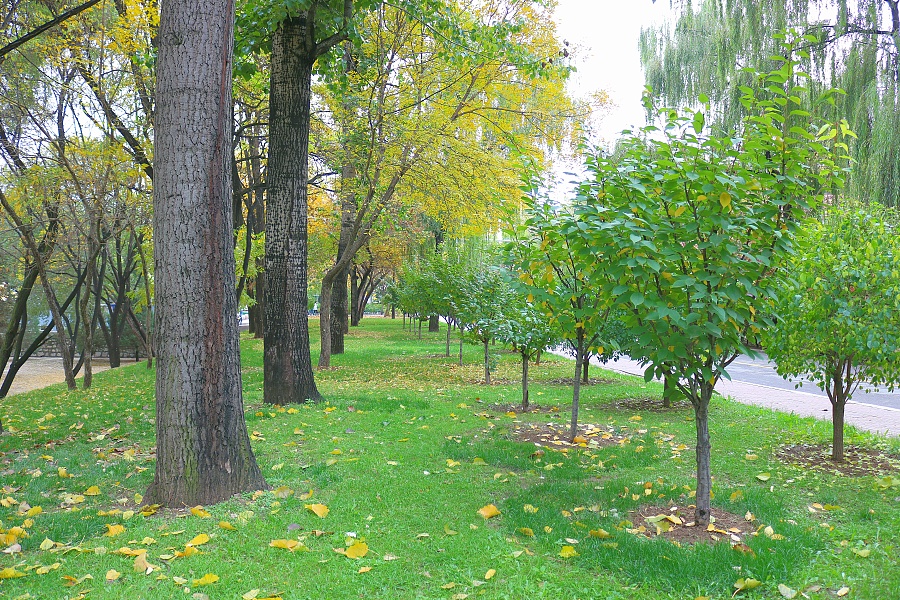 中北大学秋天校园摄影|风光|摄影|晨曦小狼仔 -