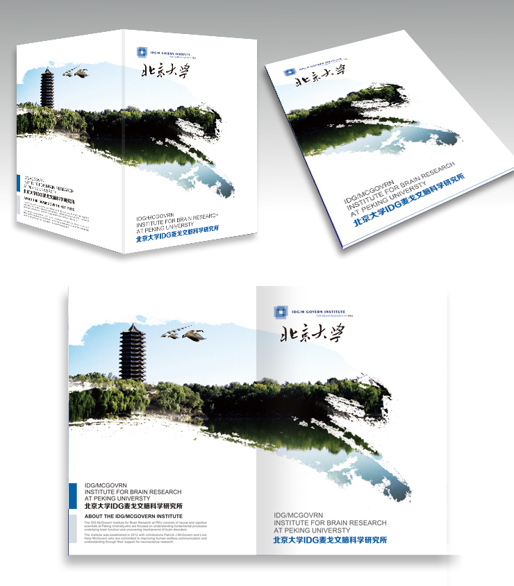 北京大学脑科学研究所宣传册封面|书装\/画册|平