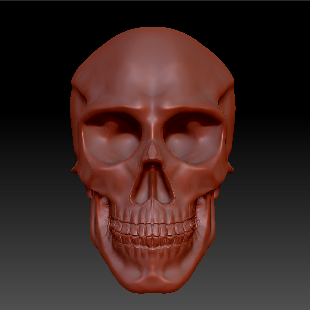zbrush 建立 人 头骨 模型 的过程