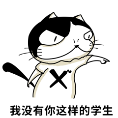 stxer-cat动图表情包