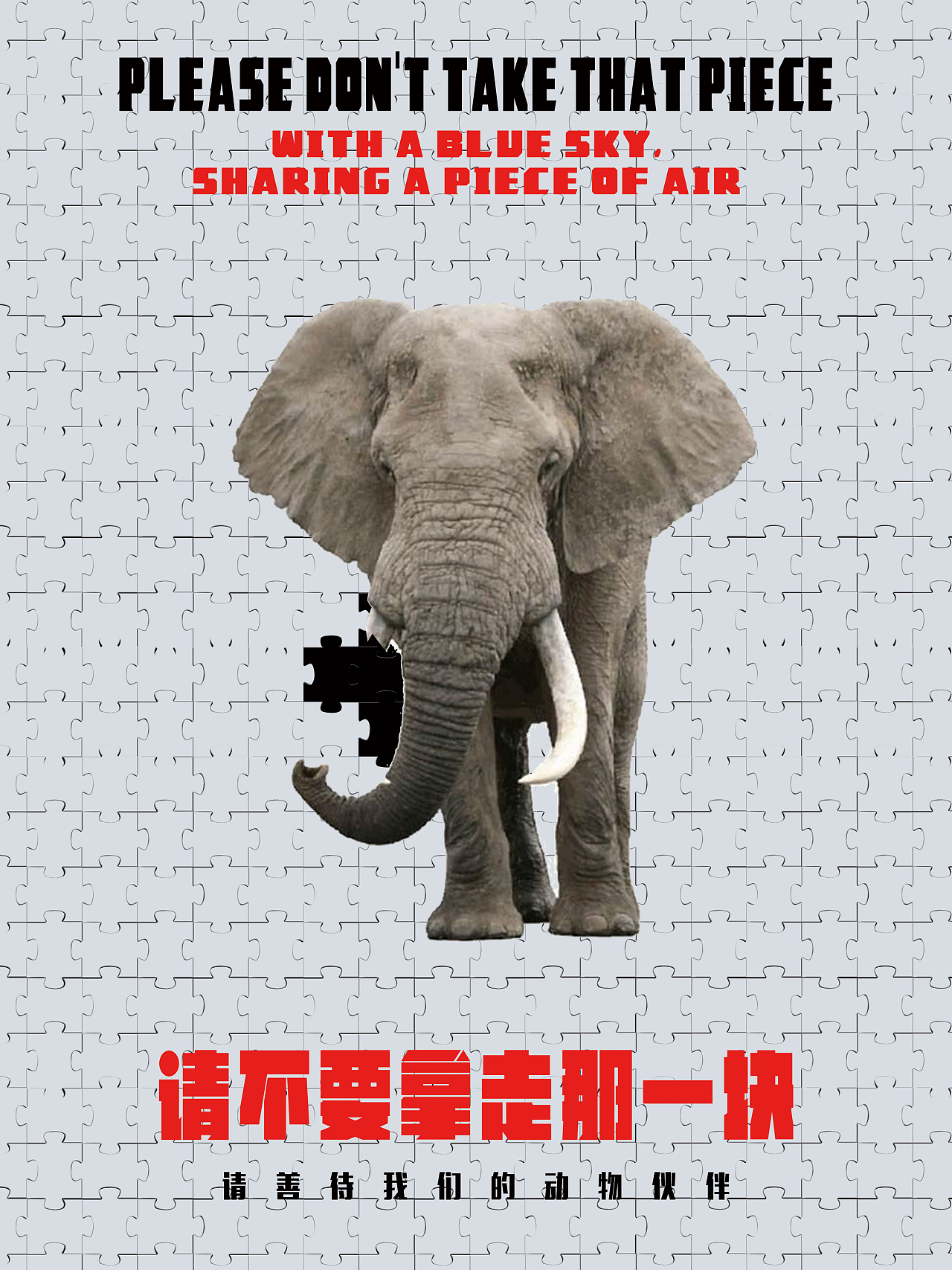 保护动物公益海报