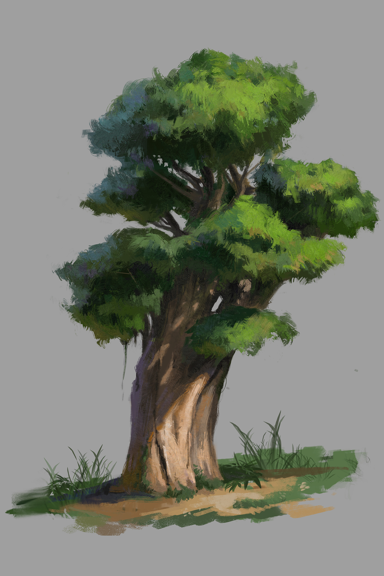 游戏原画自然元素-树