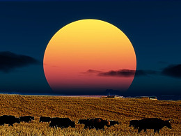 fireworks&flash动效练习