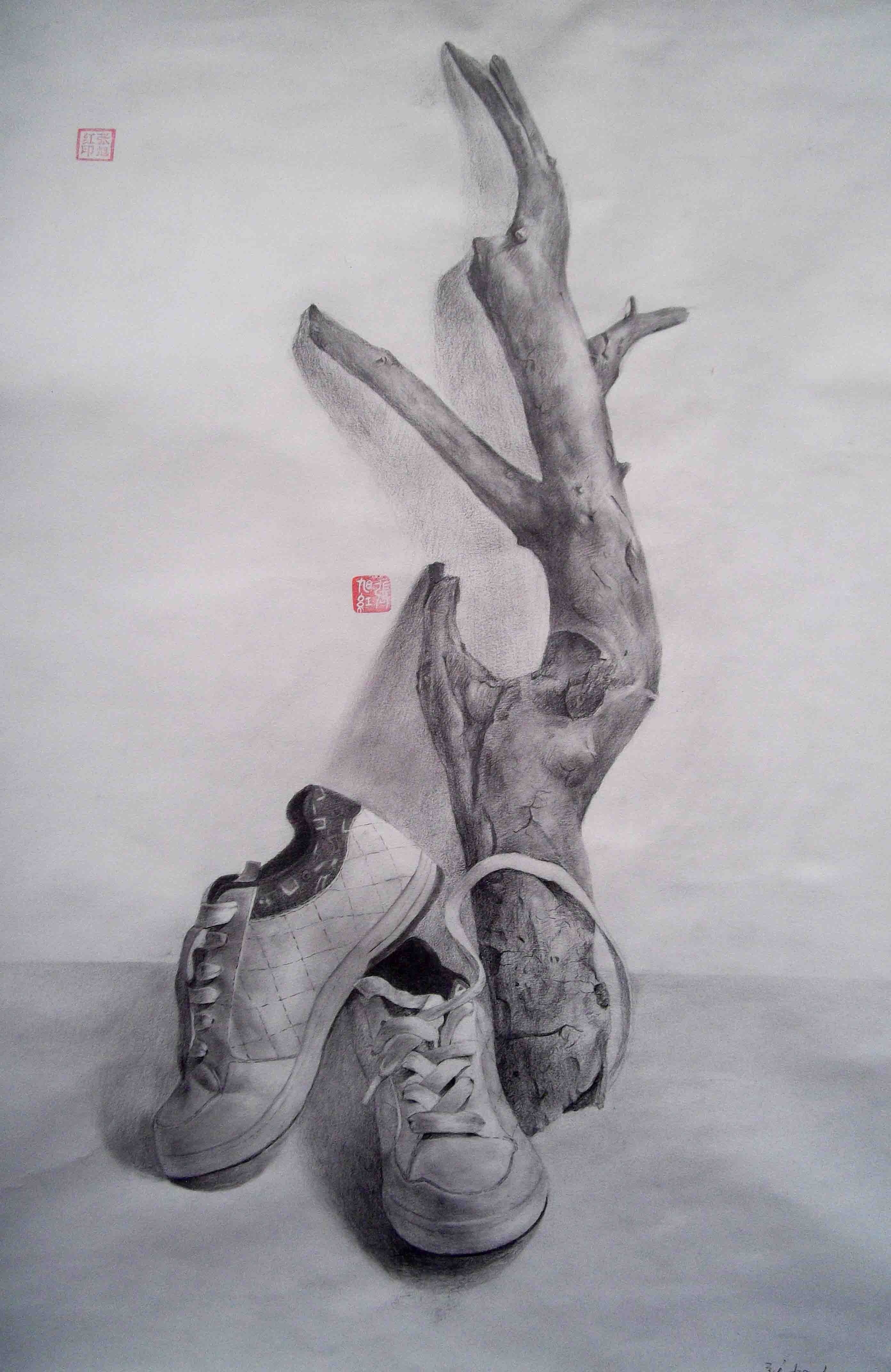 静物  树  鞋  素描|插画|商业插画|zxheasy2008 - 原创作品 - 站酷 (ZCOOL)