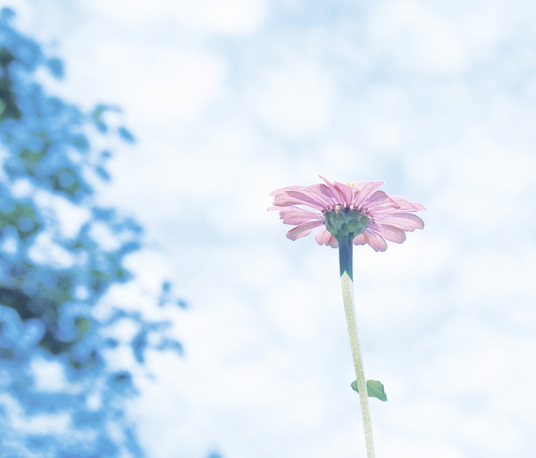 模仿川内伦子|风光|摄影|咔嚓ing - 原创设计作品 - 站酷 (ZCOOL)