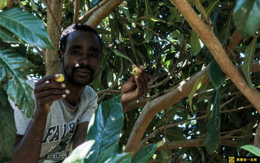 人在非洲--马赛阿妈的后现代生活|纪实\/新闻|摄