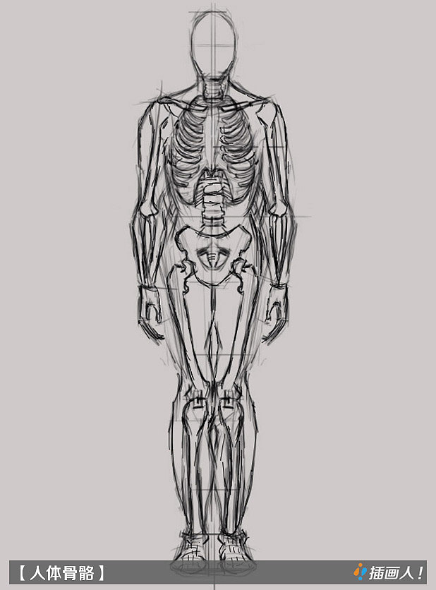 线描草稿美术基础-人体骨骼|动漫|其他动漫|chahuaren