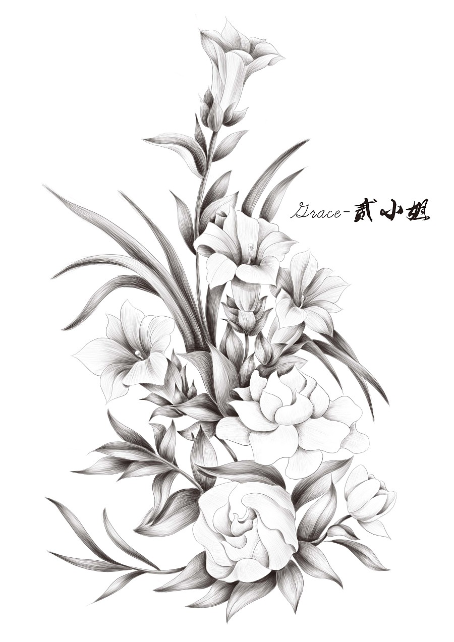 素描-插画-花朵