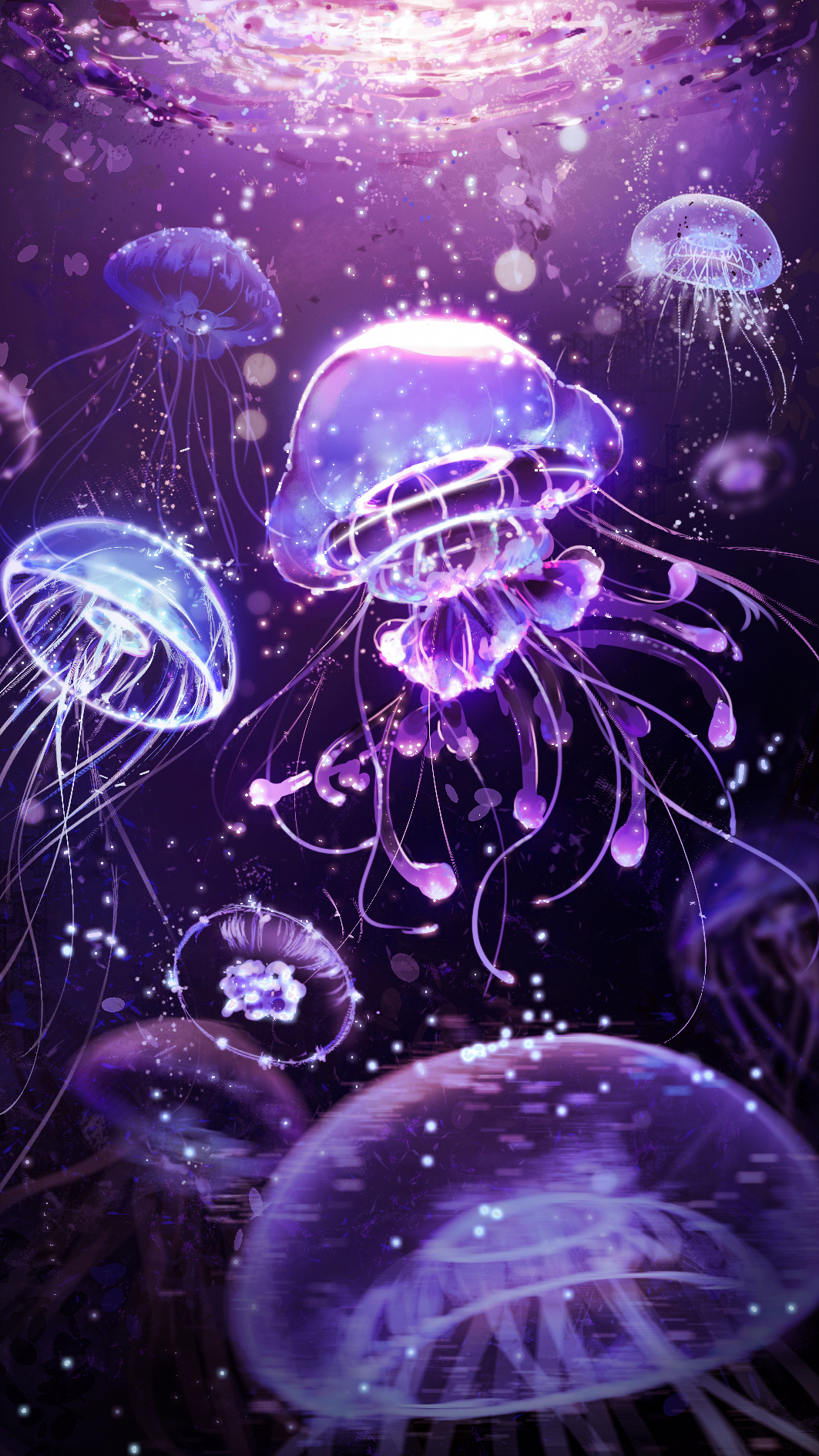 黑暗中 熠熠发光的 生物 水母