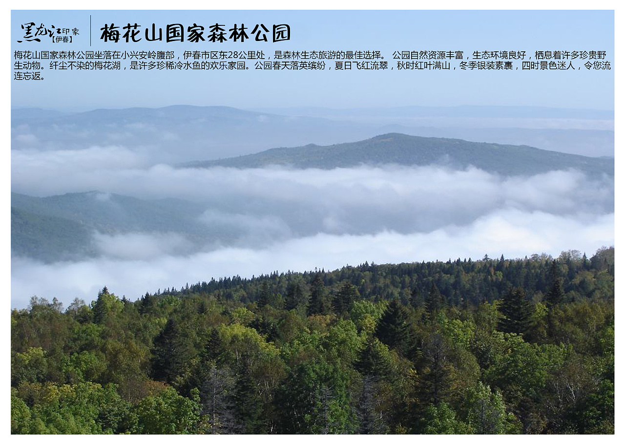 梅花山国家森林公园坐落在小兴安岭腹部,伊春市区东28公里处,是森林图片