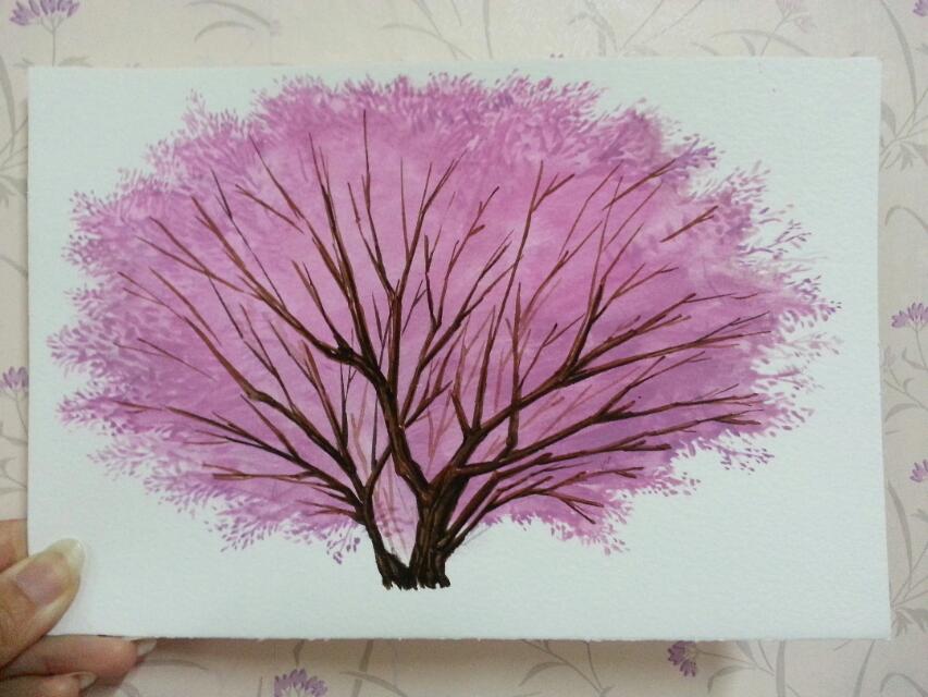 樱花树树枝图片简笔画