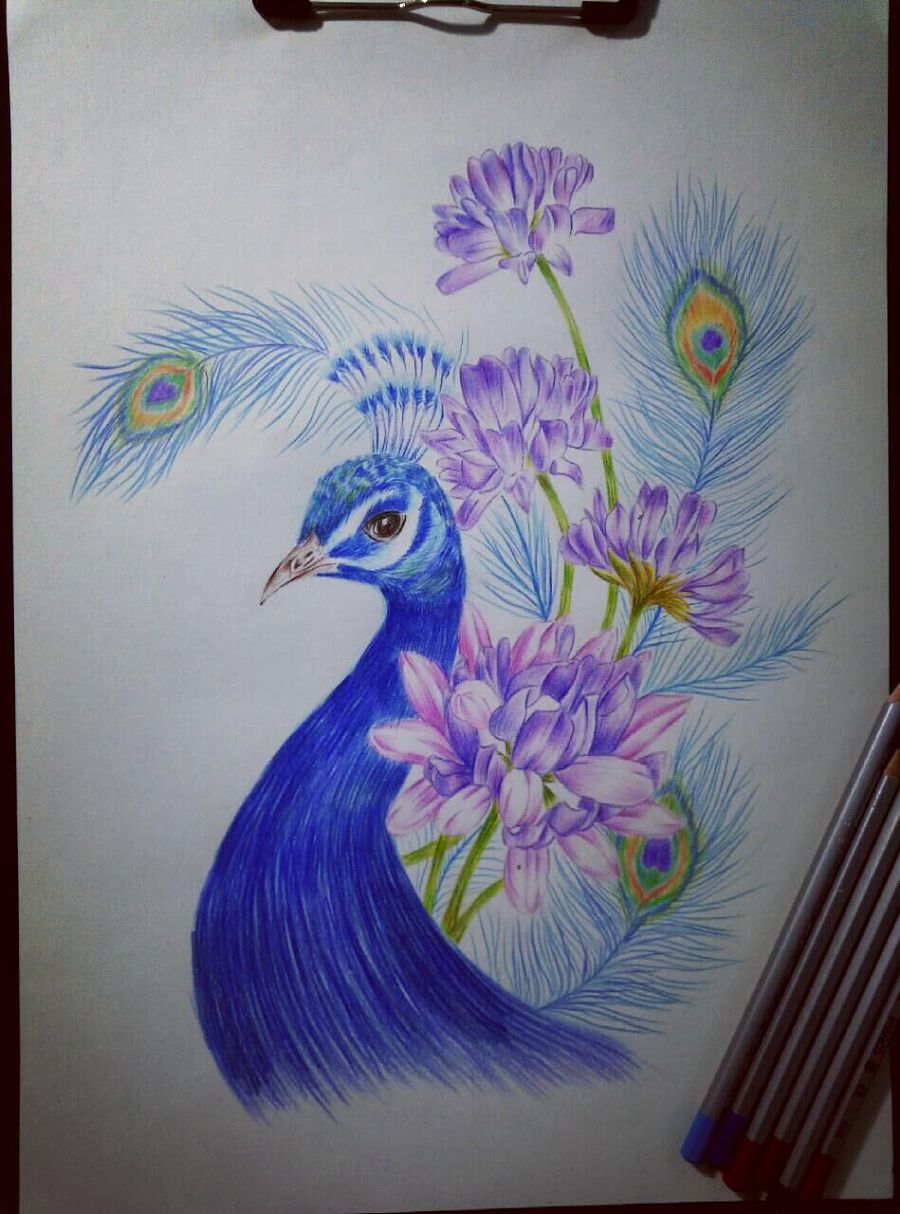 临摹的彩铅,水彩步骤|插画习作|插画|hkk28995