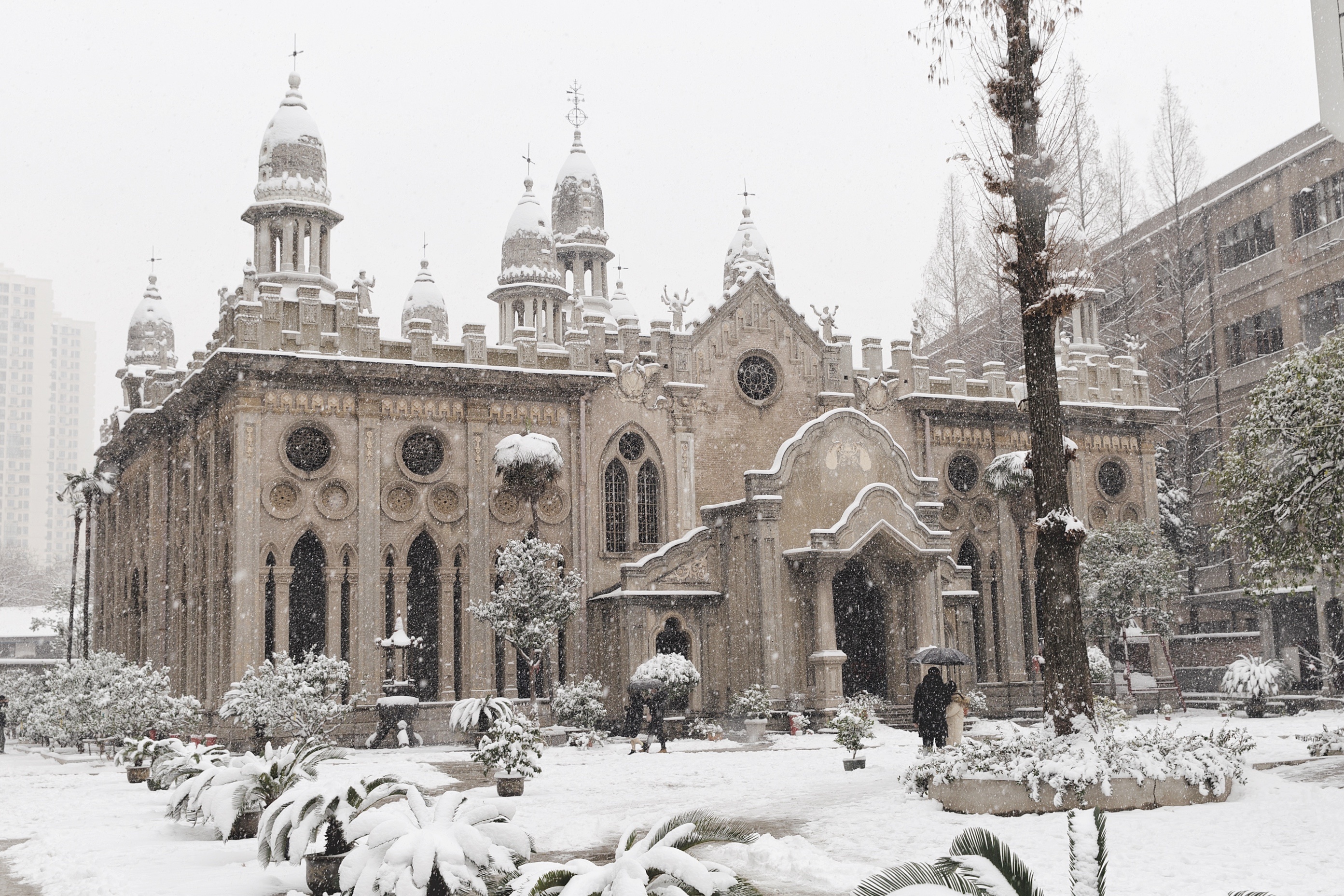 今天的古德寺下起了雪|摄影|风光|yshun - 原创作品