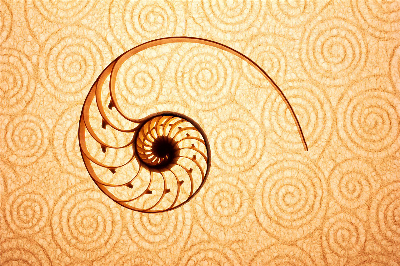 据说这个节奏有位数学家给它还写了个定律-黄金体②|平面|字体\/字形|嗨游hiu - 原创作品 - 站酷 (ZCOOL)