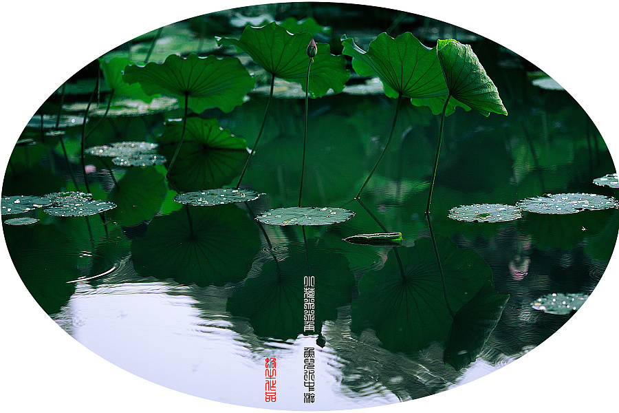 鱼儿水中游简谱_洪啸陶笛官网 陶笛伴奏下载 陶笛伴奏 七只小乌鸦