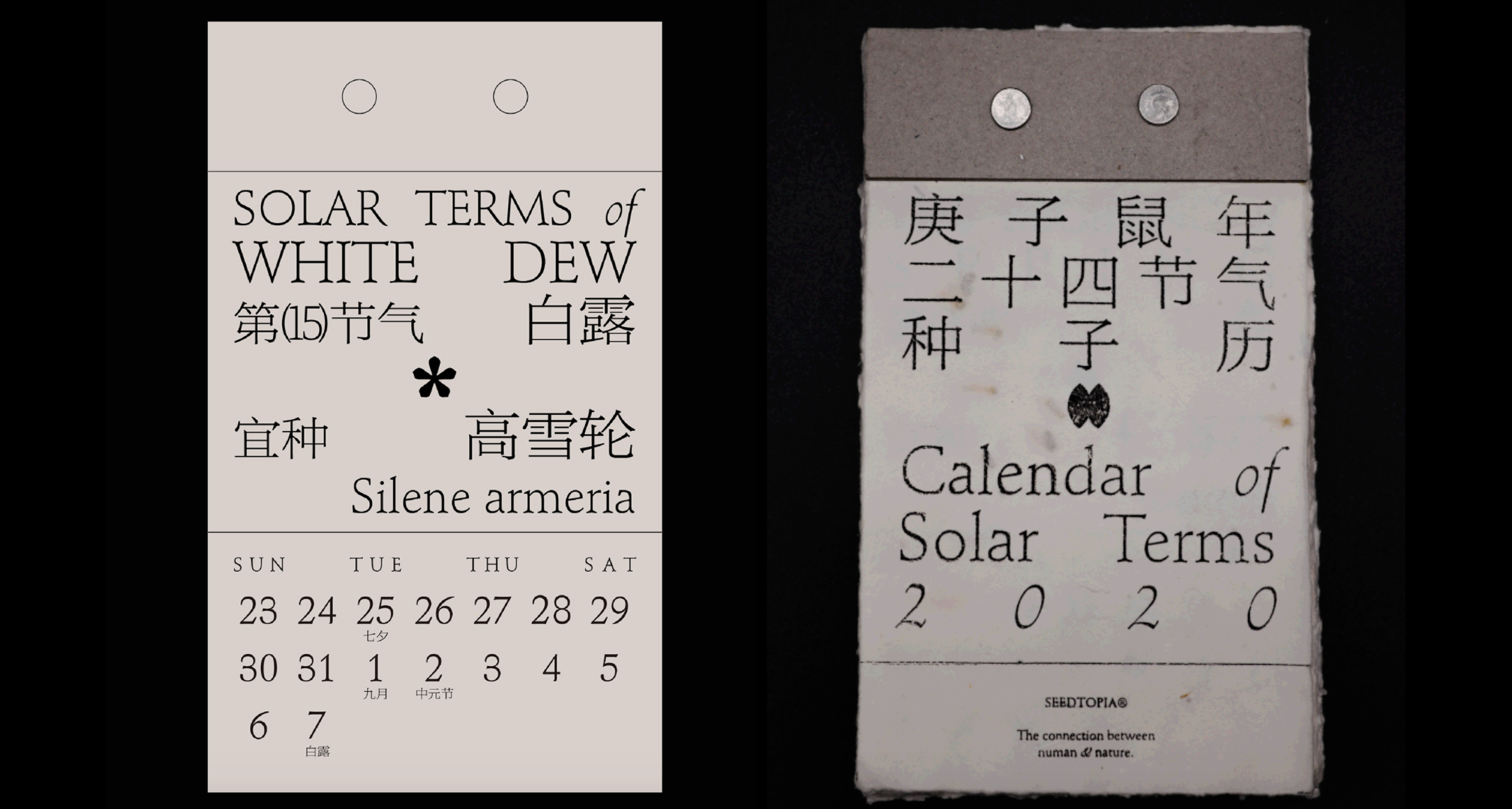 二十四节气种子历 | 24 solar terms seeds calendar