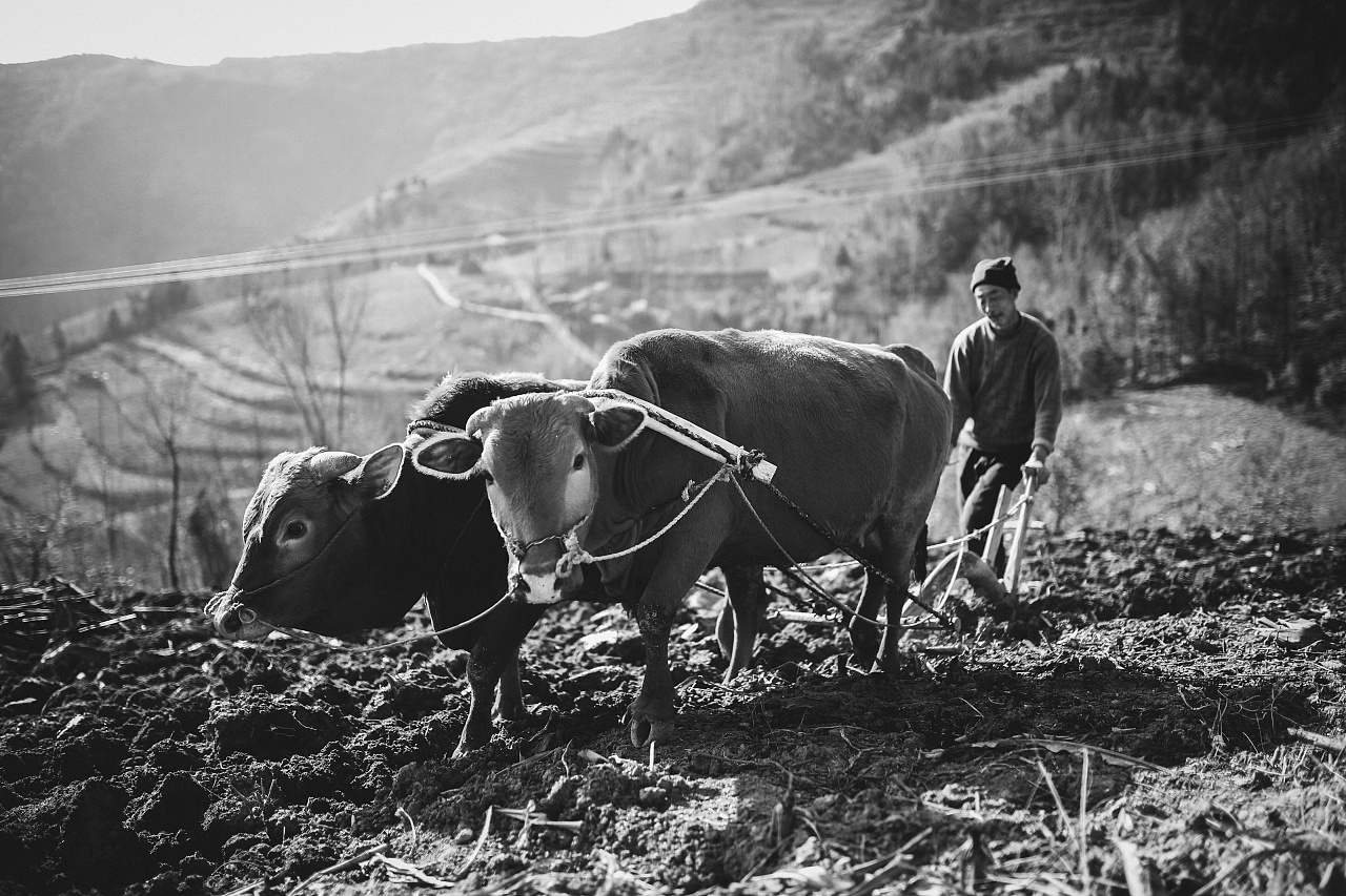 什么叫做务工子女图片