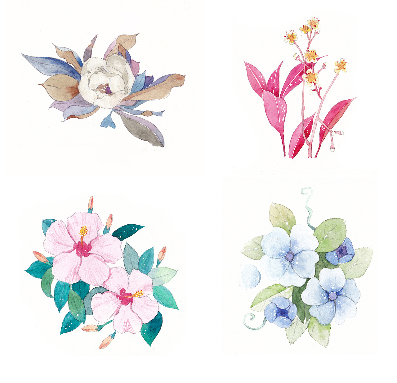 水彩手绘植物花卉(原创 临摹)|插画|创作习作|宝贝
