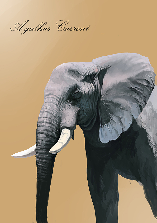 非洲大象|插画|插画习作|阿加勒斯 - 原创作品 - 站酷