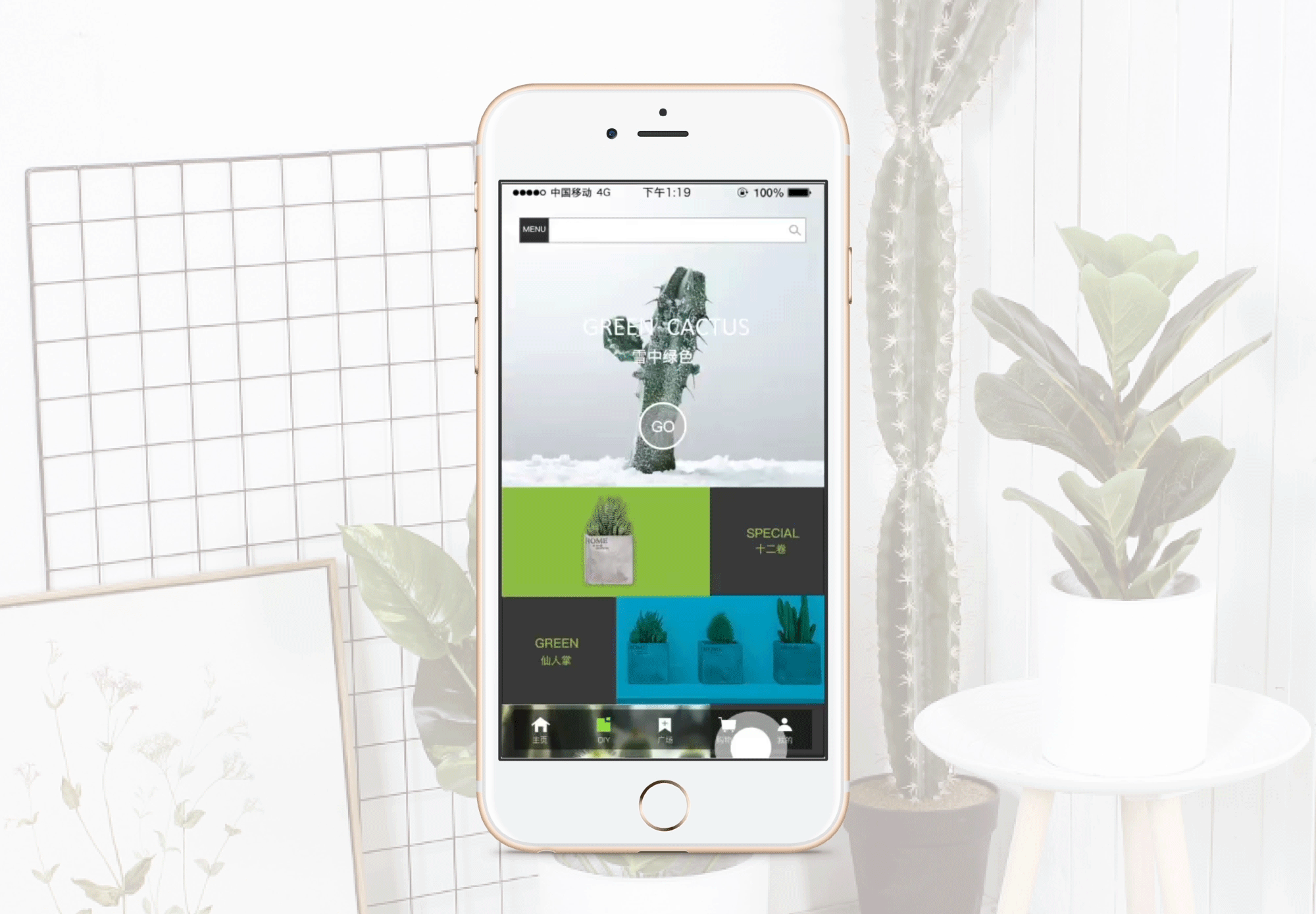 三个一组自选绿植app