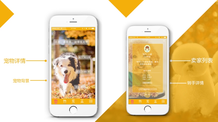 宠屋--一款关于宠物的app|移动设备\/APP界面|G