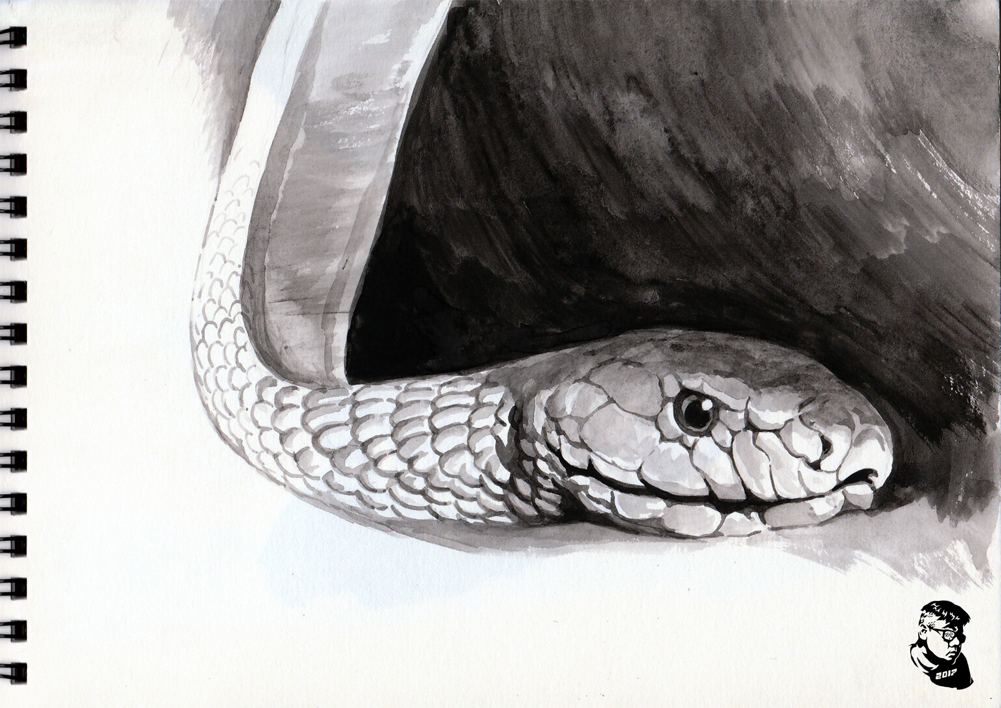 世界上最毒的蛇|插画|创作习作|我是陈龙 - 原创作品
