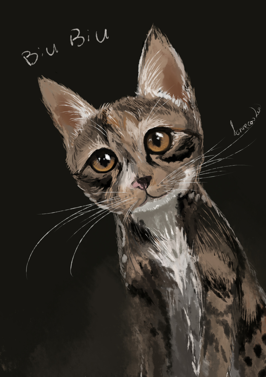 BiuBiu|绘画习作|插画|Annecoolee - 原创设计作