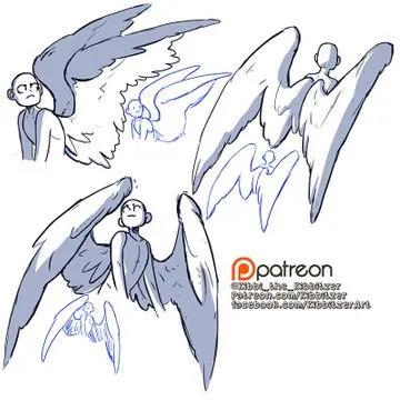 【绘画素材】翅膀的动态与画法分享!