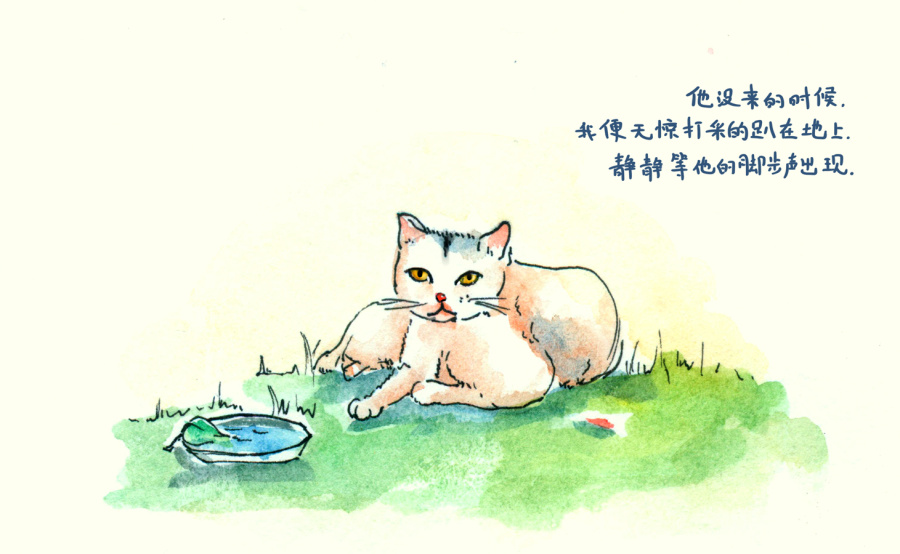 我是一只小野猫|绘本|动漫|韩小球_HD - 原创设
