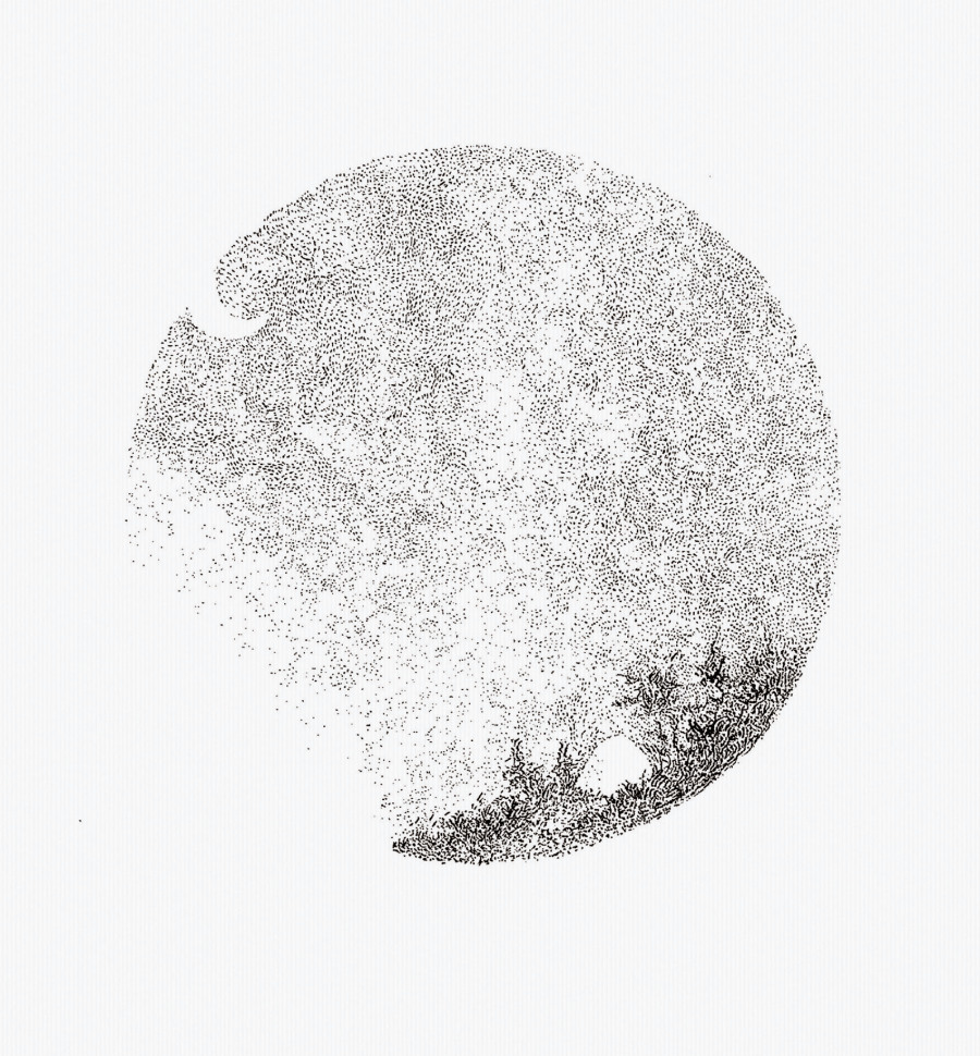 《江城子.记梦》插图设计|绘画习作|插画|刘昕C