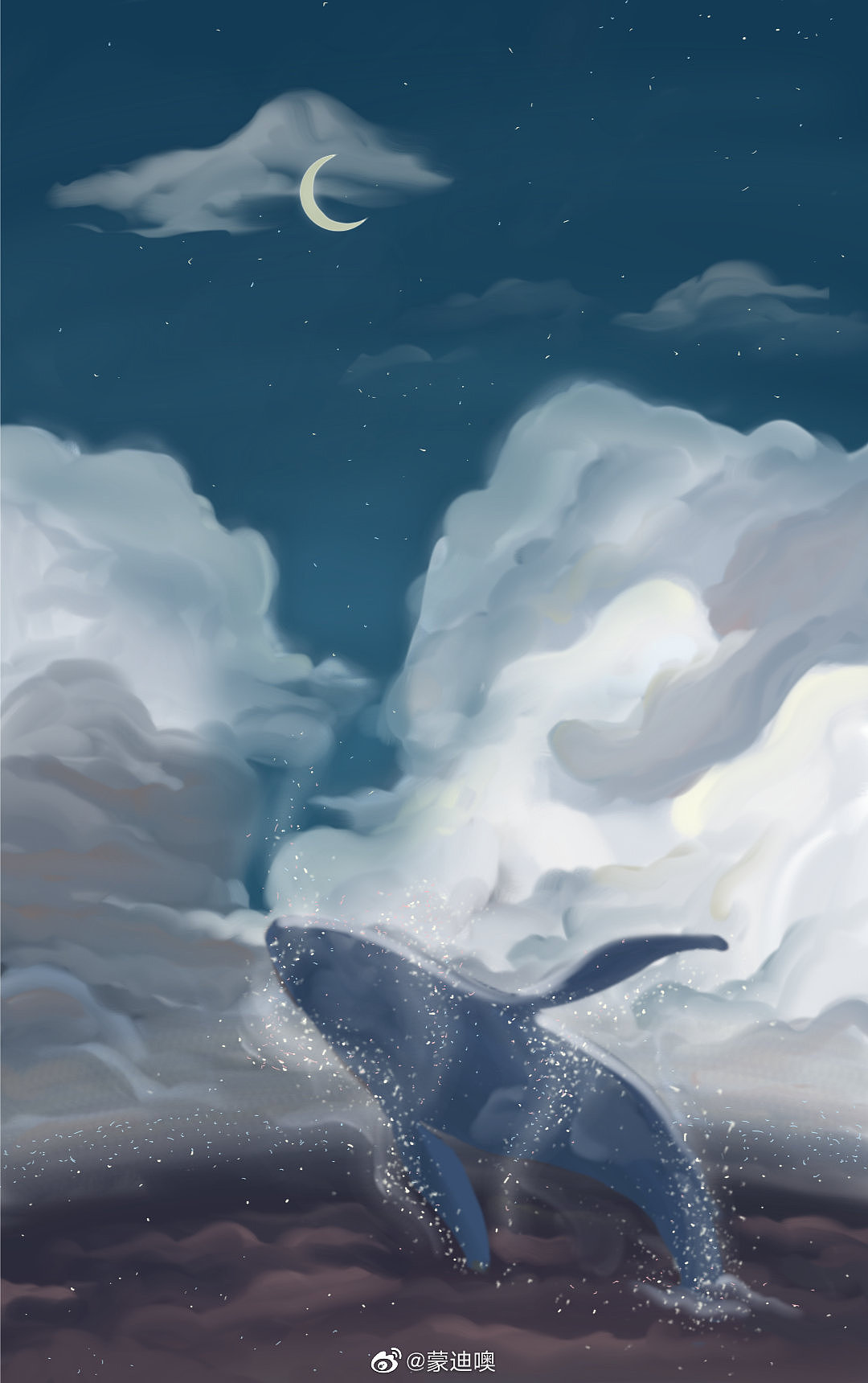 鲸鱼与星河的会面.