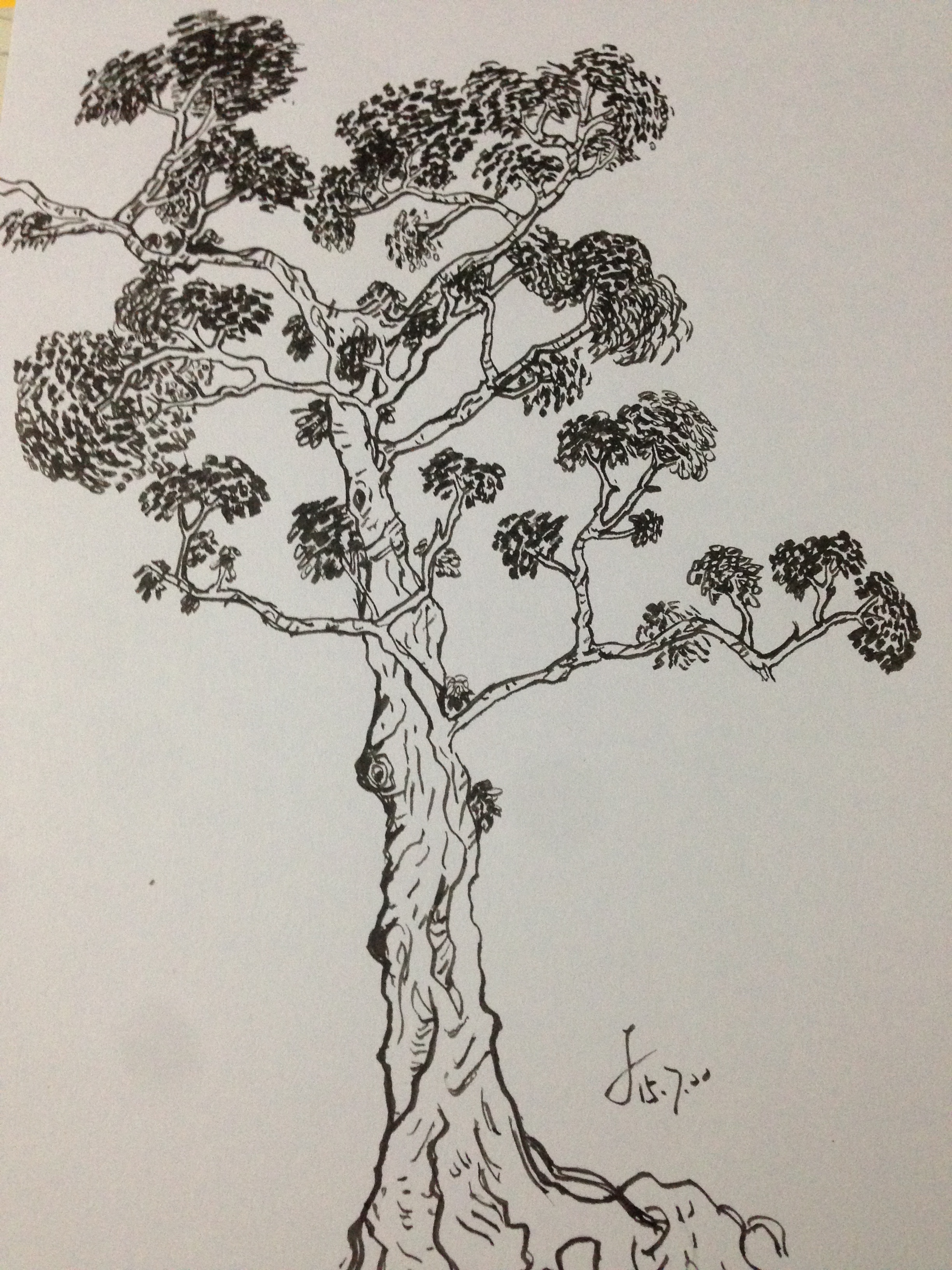 手绘--老树